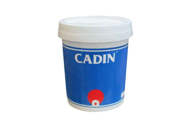 Sơn Cadin